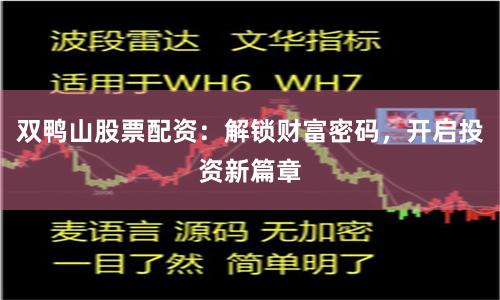 双鸭山股票配资：解锁财富密码，开启投资新篇章